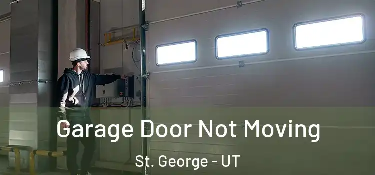  Garage Door Not Moving St. George - UT