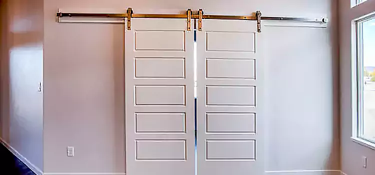 Glass Barn Door with Installation Hardware Kit St. George