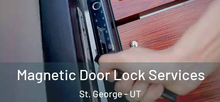 Magnetic Door Lock Services St. George - UT